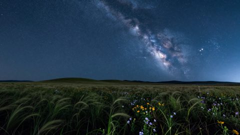 野花草原星空夜