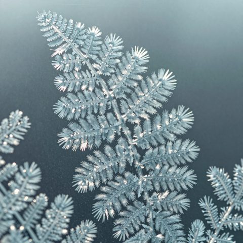 玻璃上的霜花