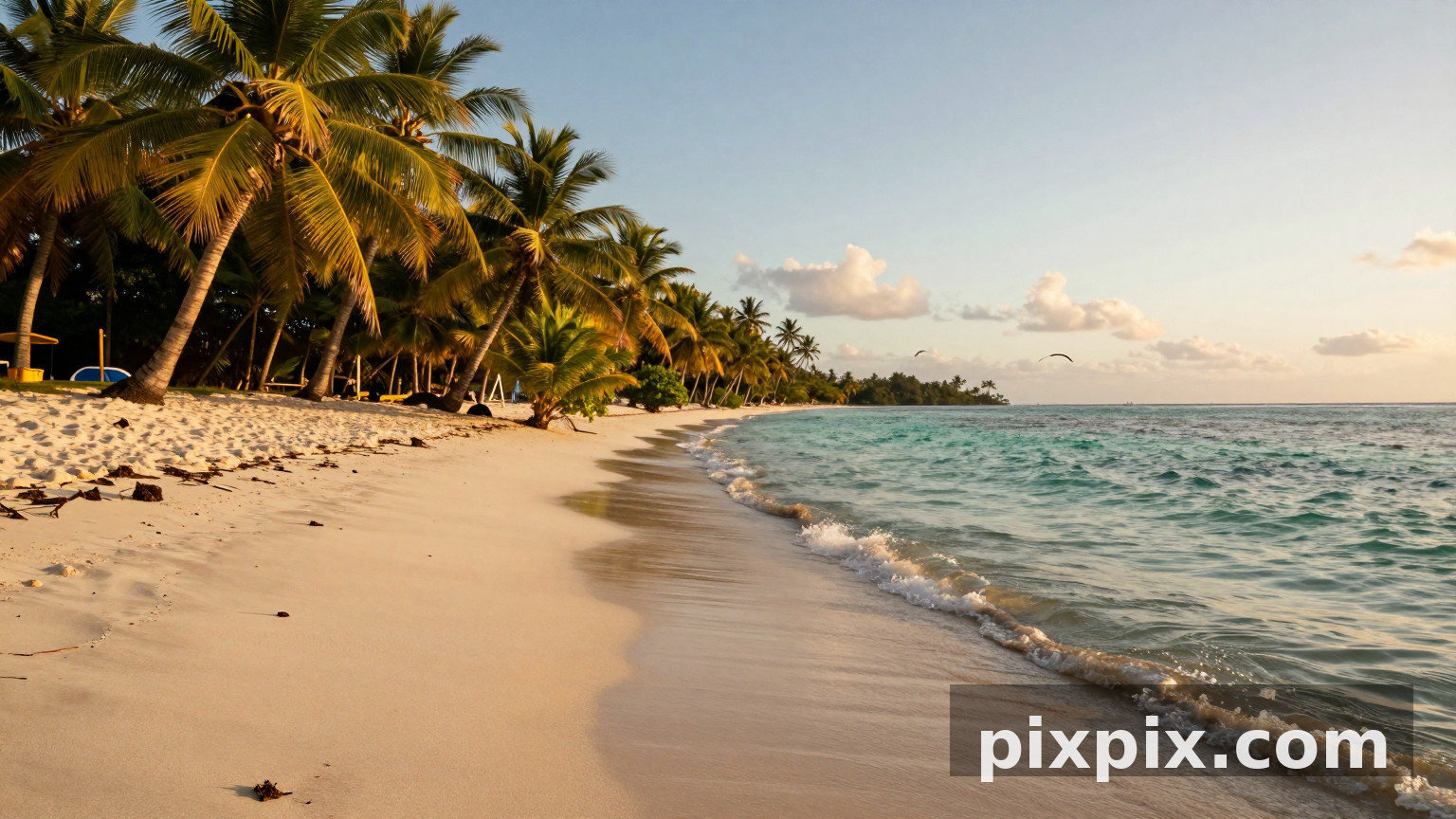 a tropical beach with clear turquoise wa - Wallpaper